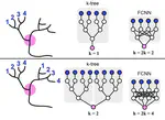 Do Biological Constraints Impair Dendritic Computation?