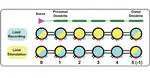 Efficient optimization of ODE neuron models using gradient descent